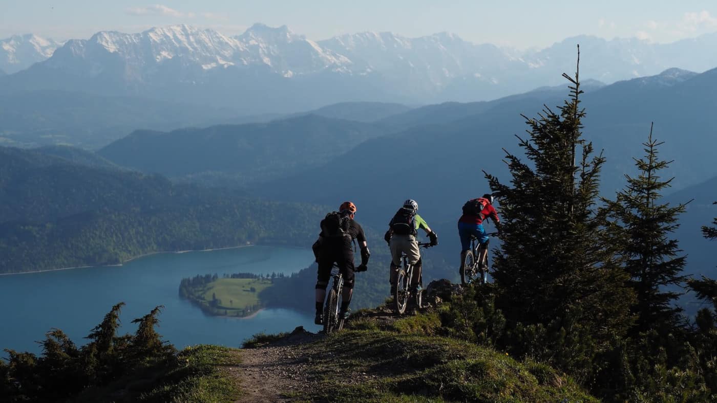 mountain bike store