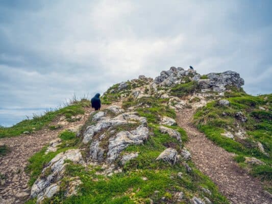 Skalnatý horský terén s turistickými chodníkmi na horskej chate Erjavčeva, Slovinsko, počas zamračeného počasia.