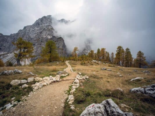 Skala so značkou chodníka pred lesom a horskou scenériou, turistický chodník pri horskej chate Erjavčeva, Slovinsko.