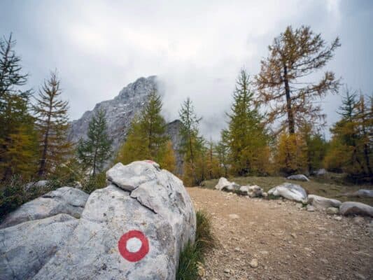 Skala so značkou chodníka pred lesom a horskou scenériou, turistický chodník pri horskej chate Erjavčeva, Slovinsko.