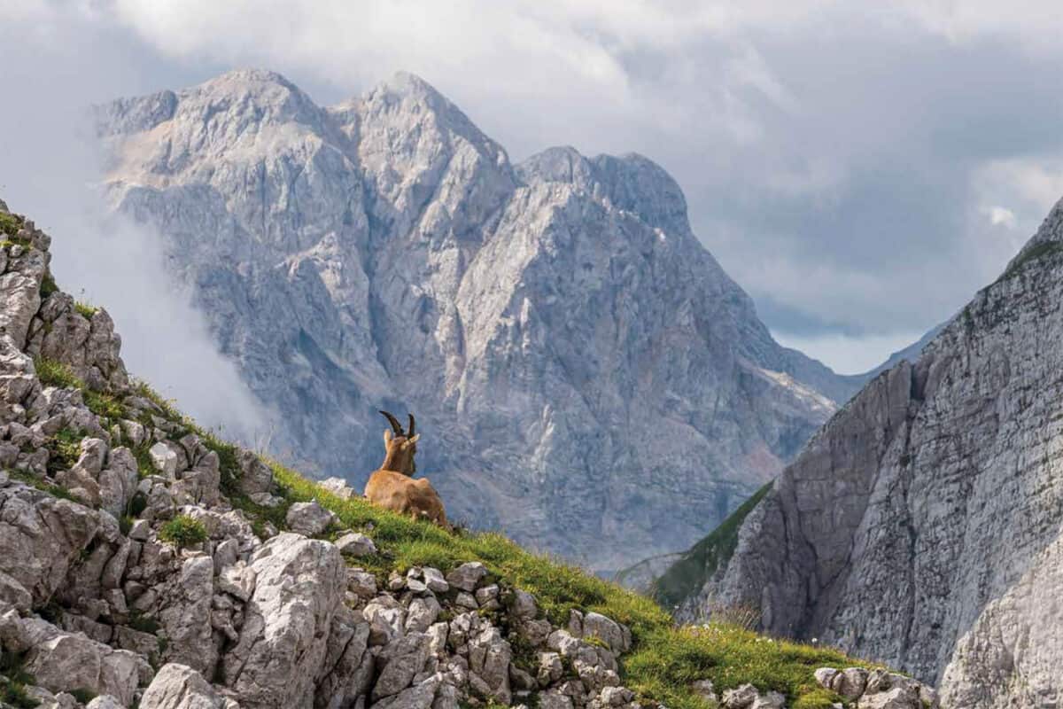 Medzi horami Kalendár 2026